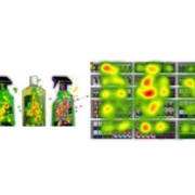 Is your Category Management Strategy validated through Shopper Eye Tracking?